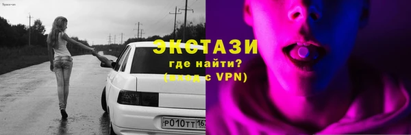 соль ск Каменка