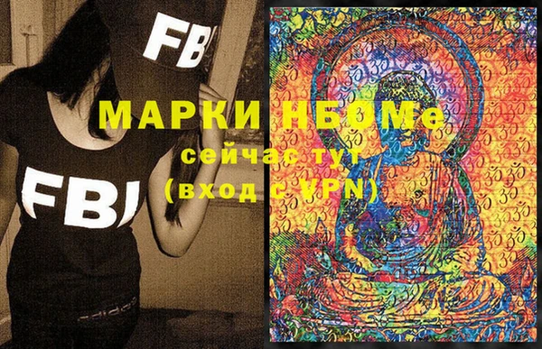 соль ск Каменка