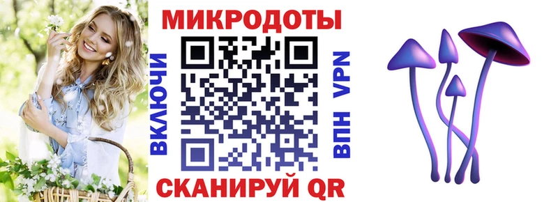 Купить где  Тетюши  Галлюциногенные грибы прущие грибы 